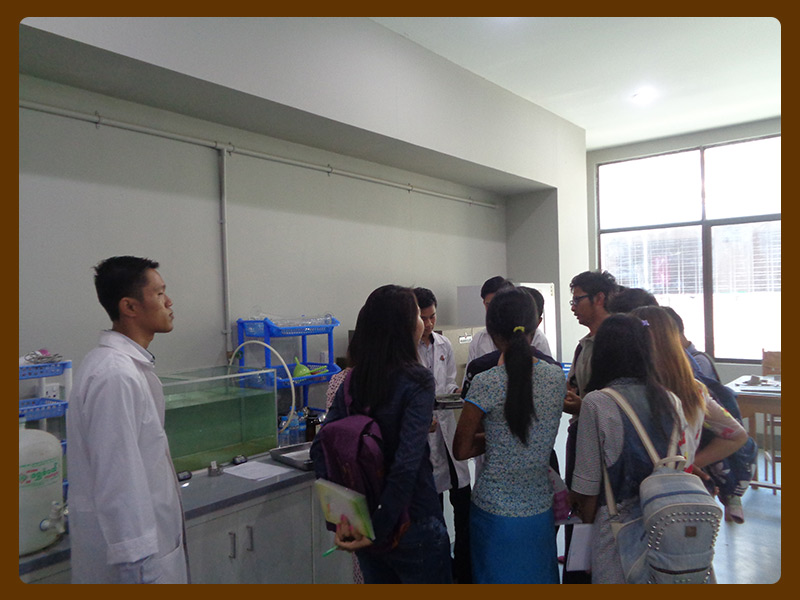 'Dr Htun Naing Training 03