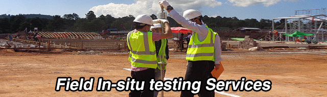 Field In-situ testing Services